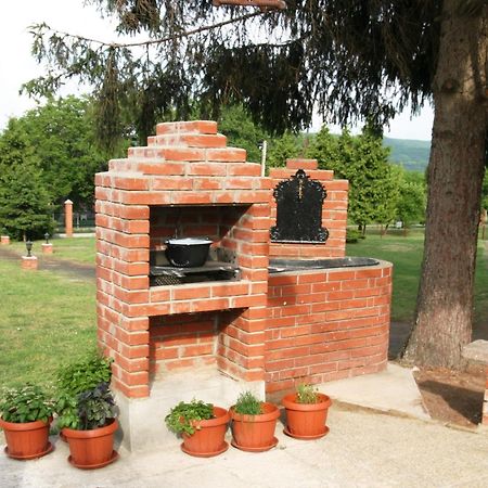 Villa Teleki Zewnętrze zdjęcie