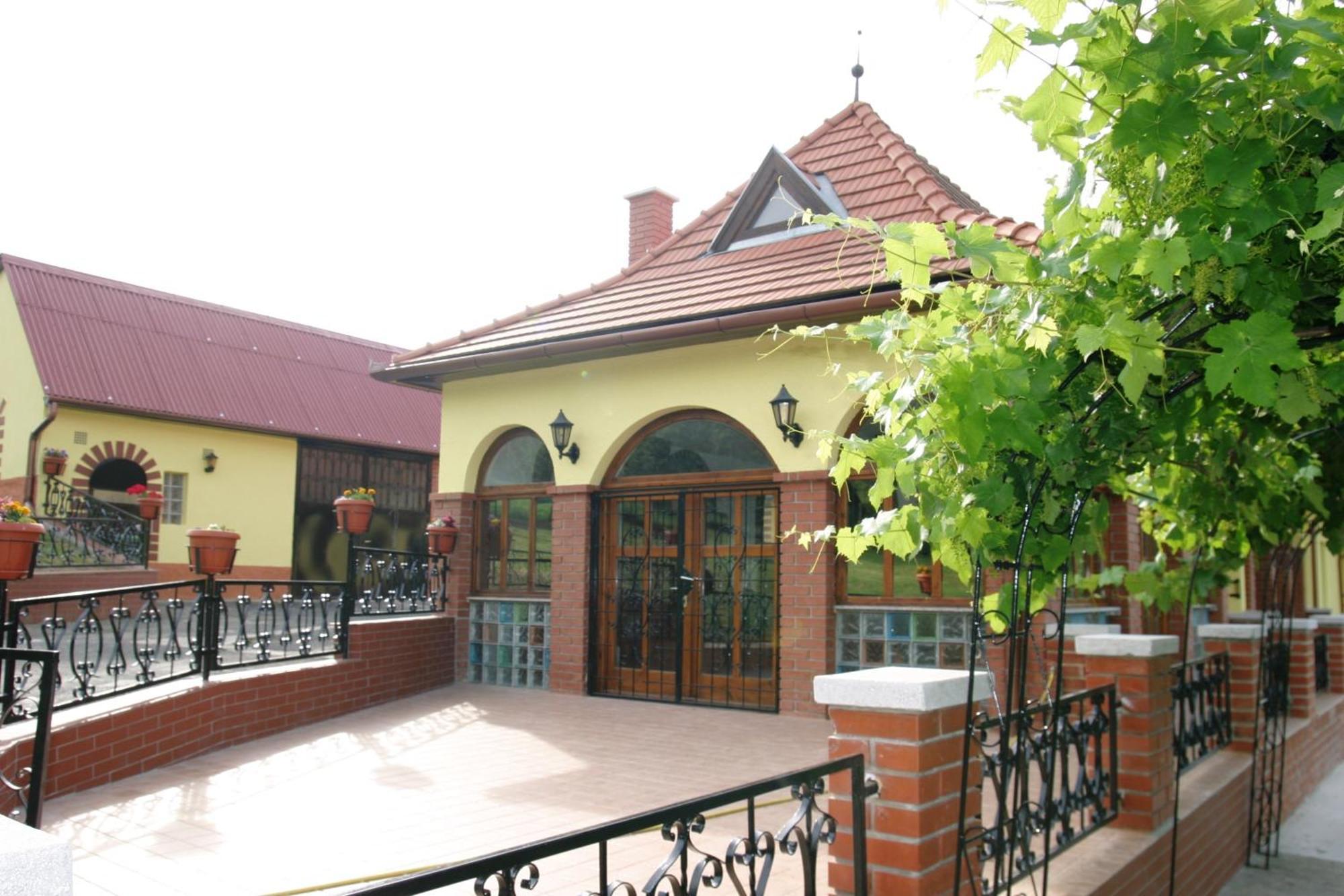Villa Teleki Zewnętrze zdjęcie