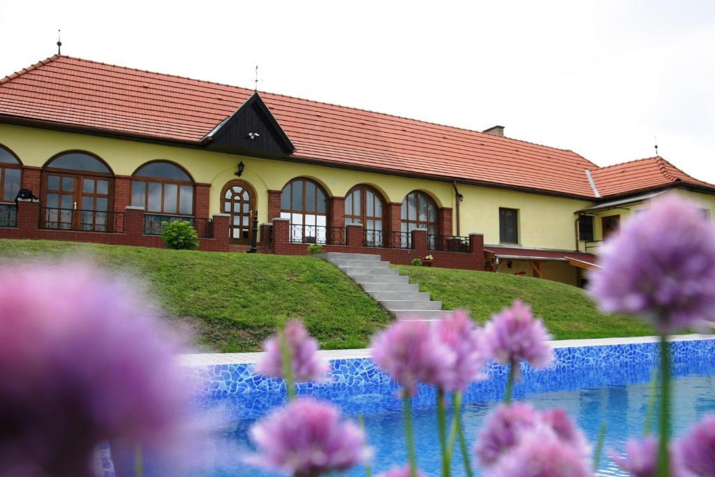 Villa Teleki Zewnętrze zdjęcie