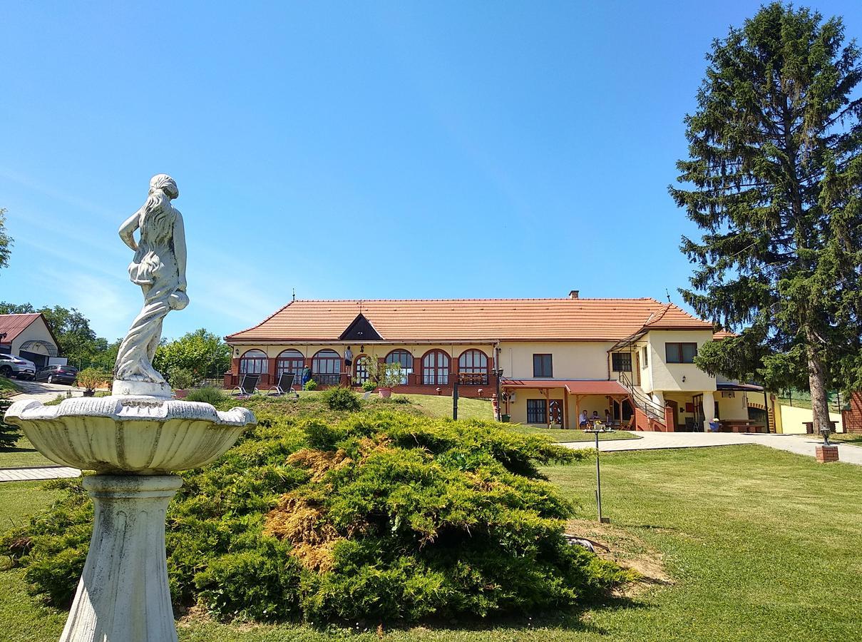 Villa Teleki Zewnętrze zdjęcie