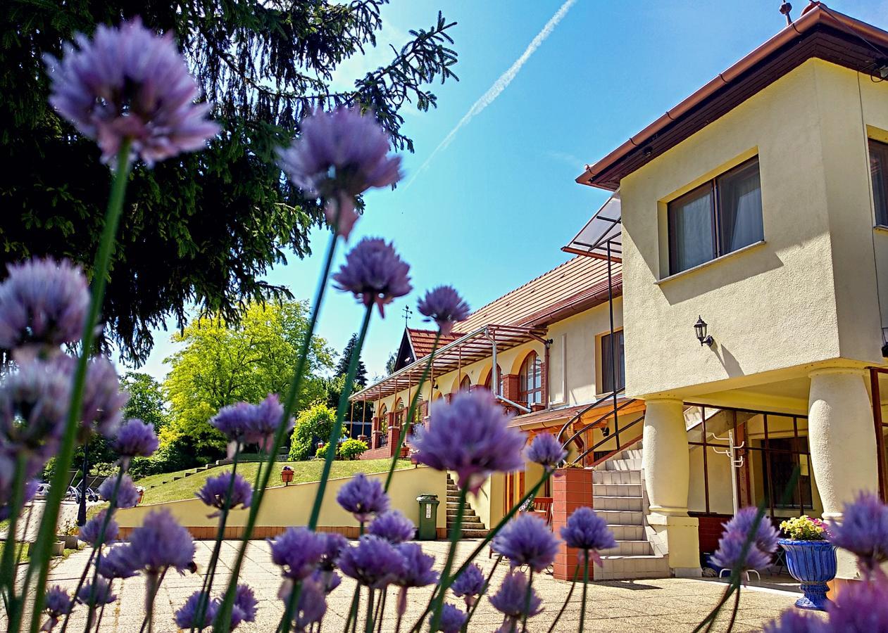 Villa Teleki Zewnętrze zdjęcie
