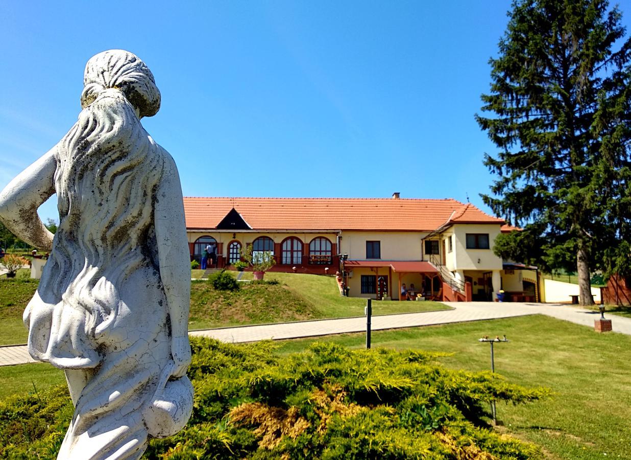 Villa Teleki Zewnętrze zdjęcie