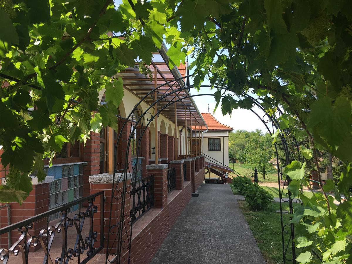 Villa Teleki Zewnętrze zdjęcie