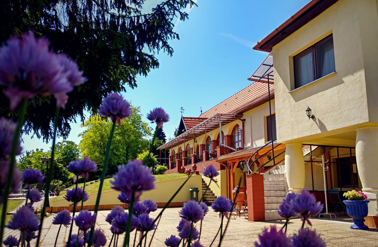 Villa Teleki Zewnętrze zdjęcie
